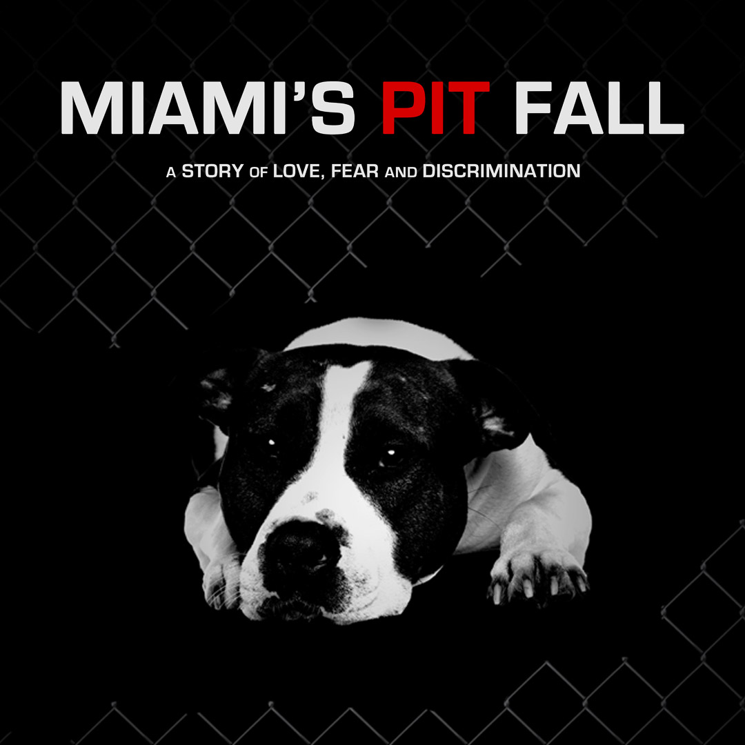 Miami's Pit Fall