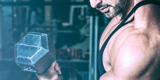 Fitness & Bodybuilding