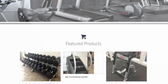 Elite Gym Equipment Website